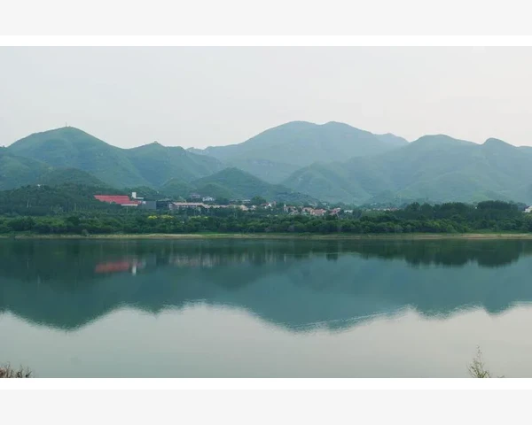 儿童贫血与脾胃不和的表现及调理方法