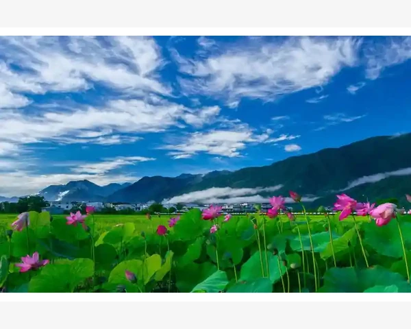 产后温宫驱寒，助你迅速恢复身体健康和内分泌平衡