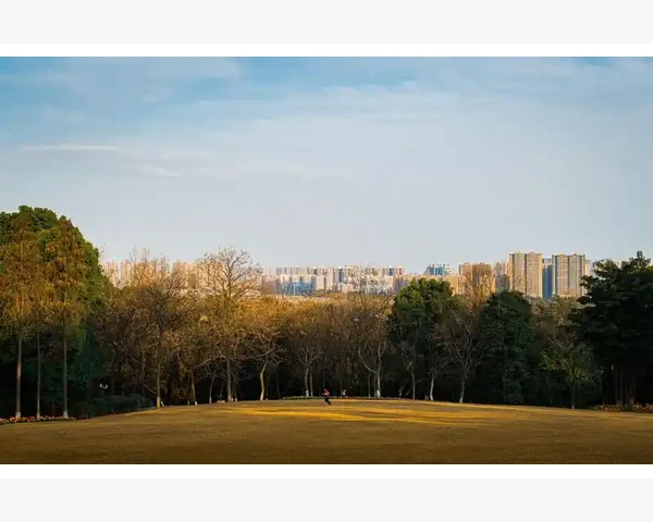 吸烟者如何化痰：中医科普指导助您健康呼吸